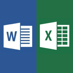 Excel and word 