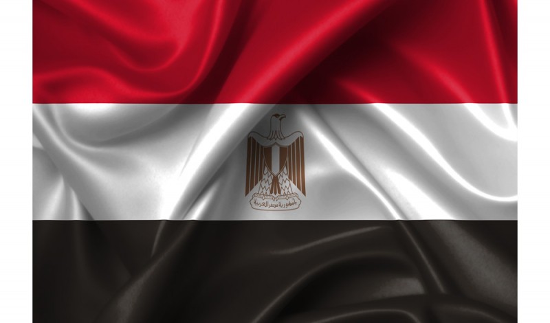 	 قاعدة بيانات الشركات المصرية حوالي 40 الف شركة