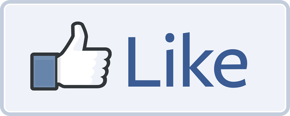  I will give 1500 likes on your FaceBook page at most 5 days for $5