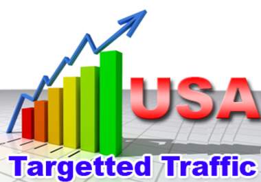 Send 50,000 + USA Web Traffics with Google Search Engine and Social Media 